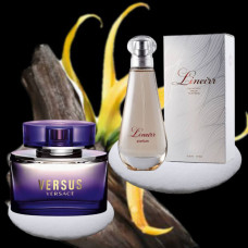 Парфуми №9 версія Versus Versace 50 мл