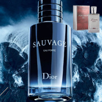 Парфуми №92 версія Sauvage 2015 - Christian Dior 50 мл Парфуми №92 версія Sauvage 2015 - Christian Dior 50 мл