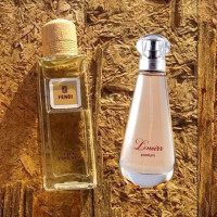 Парфуми №24 версія Life Essence Fendi 50 мл Парфуми №24 версія Life Essence Fendi 50 мл